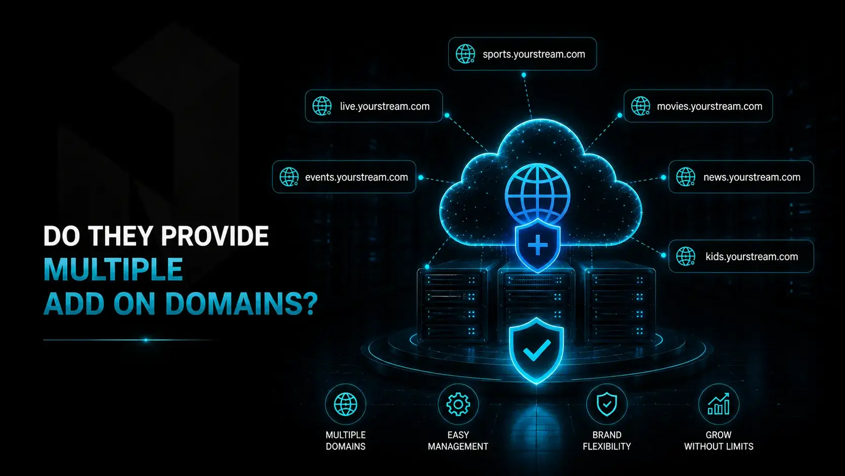5. Do They Provide Multiple Add on Domains?