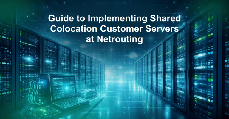 Guide to Implementing Shared Colocation Customer Servers at Netrouting
