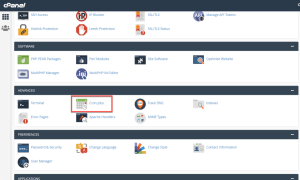 cPanel dashboard with various sections such as Software, Advanced, and Preferences, highlighting the Cron Jobs option