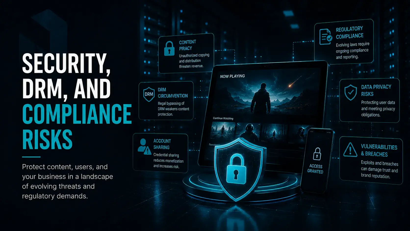 Security, DRM, and Compliance Risks