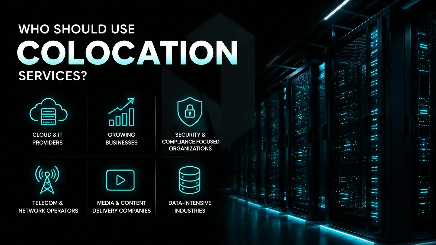 Who Should Use Colocation Services?