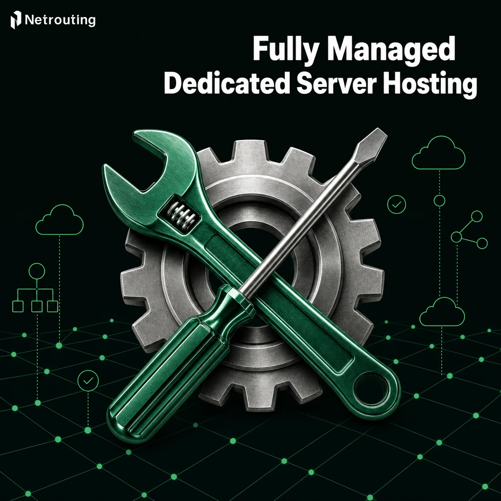 Fully Managed Dedicated Server Hosting | Netrouting