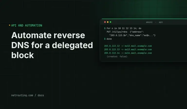 Automate reverse DNS for a delegated block