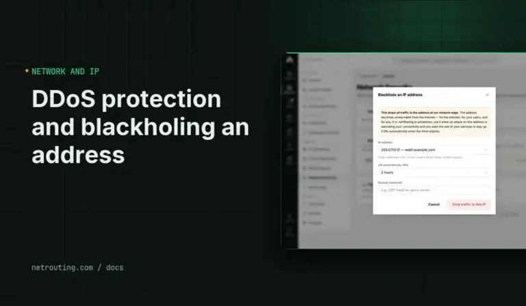 DDoS Protection on Netrouting Servers and How to Blackhole an Address Yourself: Portal and API