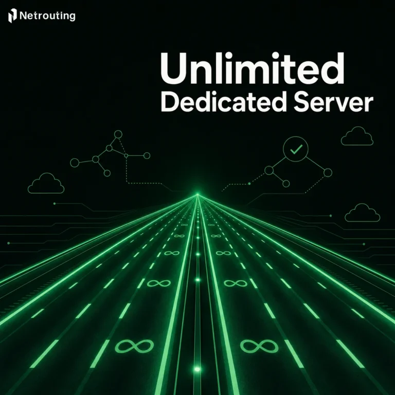 Unlimited Dedicated Server: What the Fine Print Hides