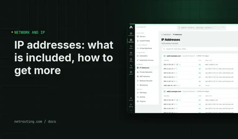 IP Addresses on Netrouting Servers: What Is Included, How to Get More, IPv6