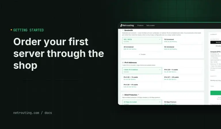 Order Your First Server Through the Netrouting Shop