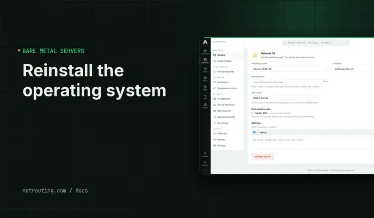 Reinstall the Operating System on Your Server or VM: Portal and API