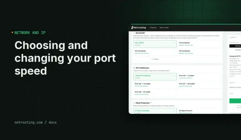 Choosing and Changing Your Server's Port Speed (1G, 2G, 5G, 10G, 20G)