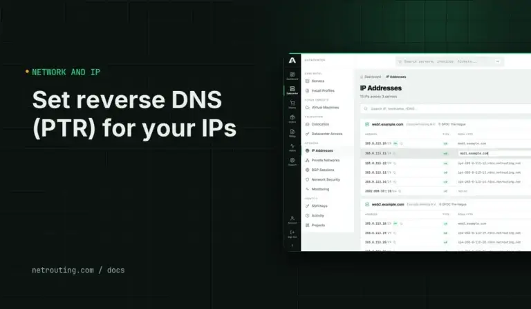 Set Reverse DNS (PTR) for Your IPs: Portal and API