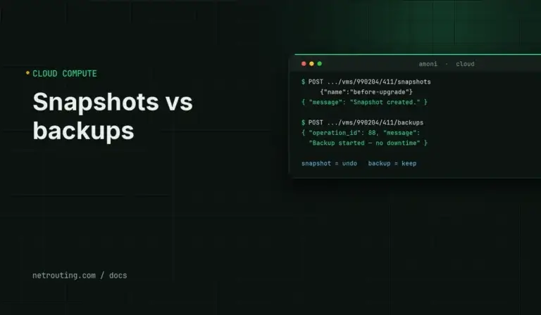 Snapshots vs Backups on Amóni Cloud