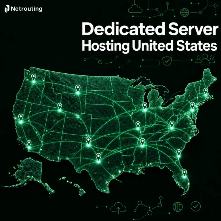 Dedicated Server Hosting United States | Netrouting